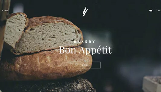 ���Ӳ��ܼӏ���I(y��)�W(w��ng)վ���O(sh��)��Ч����